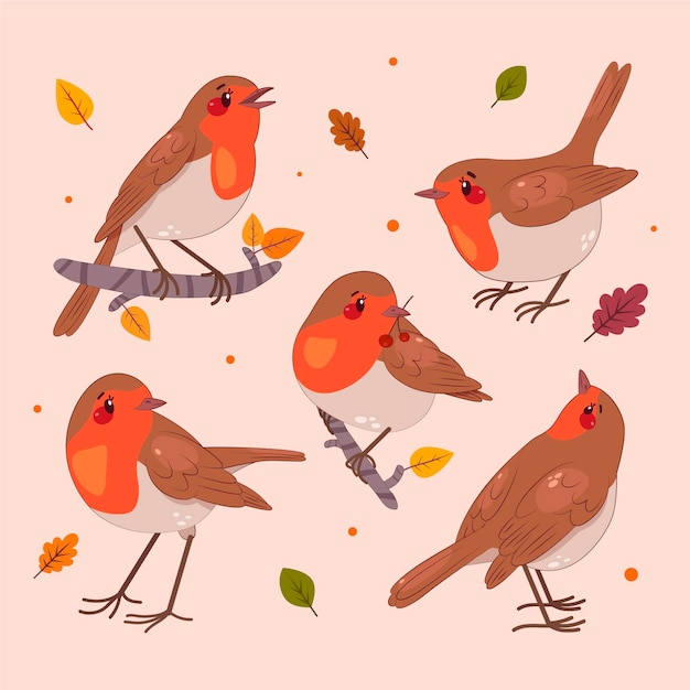 Free vector hand drawn flat design robin collection