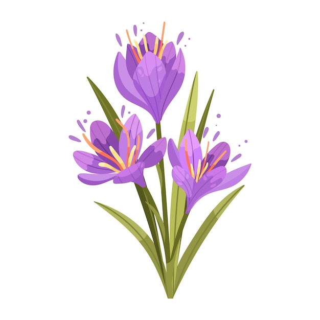 Hand drawn flat design saffron illustration