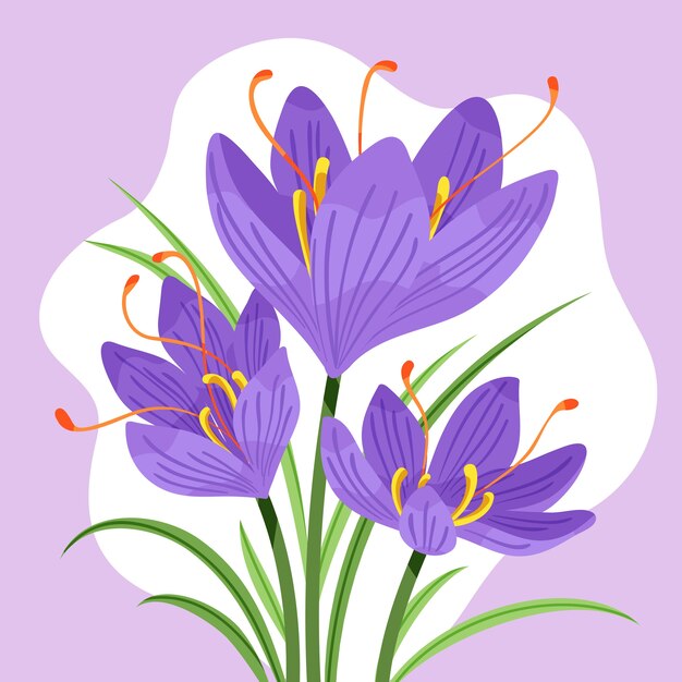 Hand drawn flat design saffron illustration
