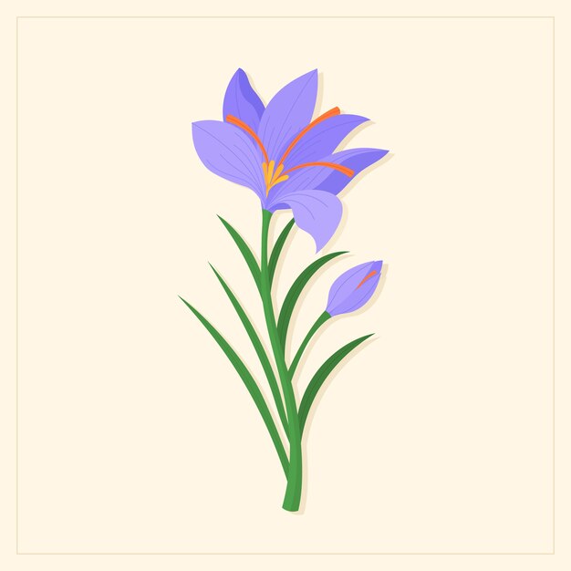 hand drawn flat design saffron illustration