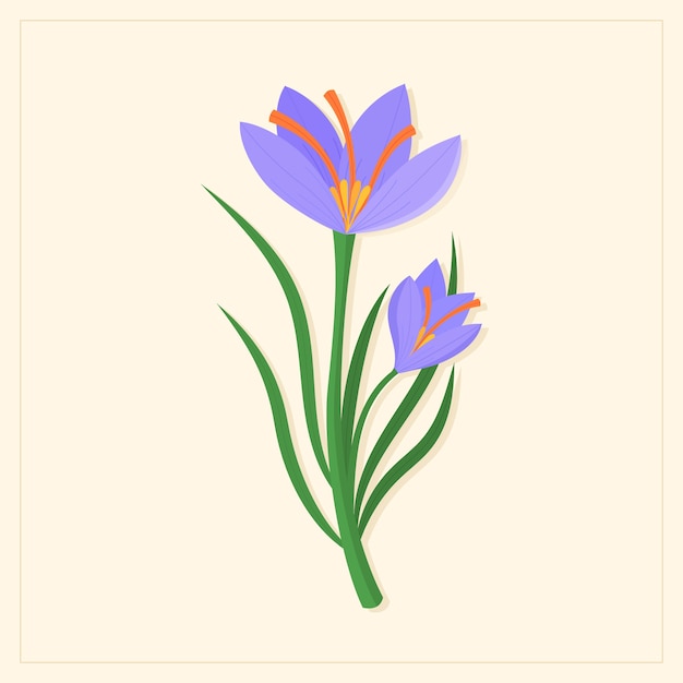 Hand drawn flat design saffron illustration