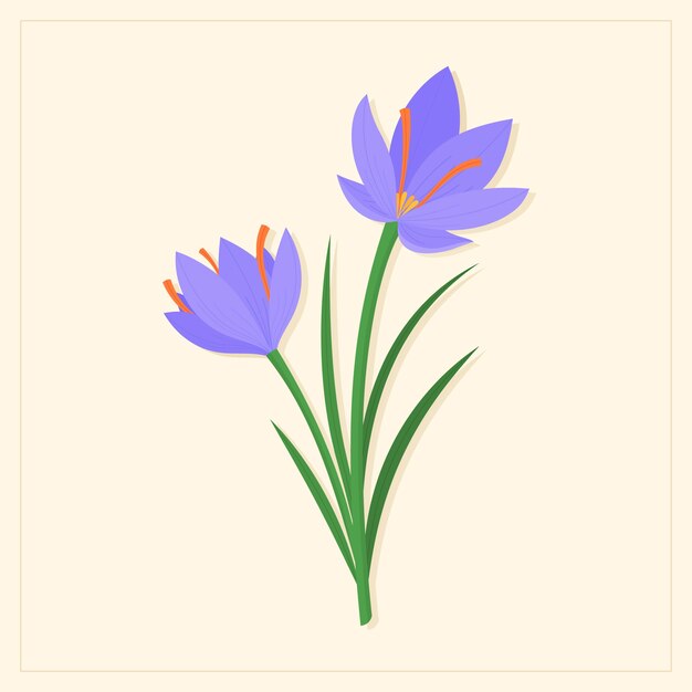 Hand drawn flat design saffron illustration