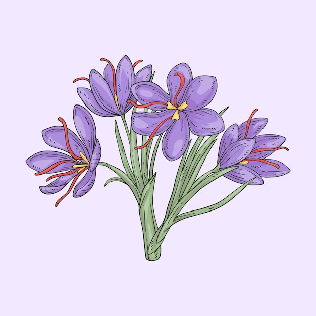 Free vector hand drawn flat design saffron illustration