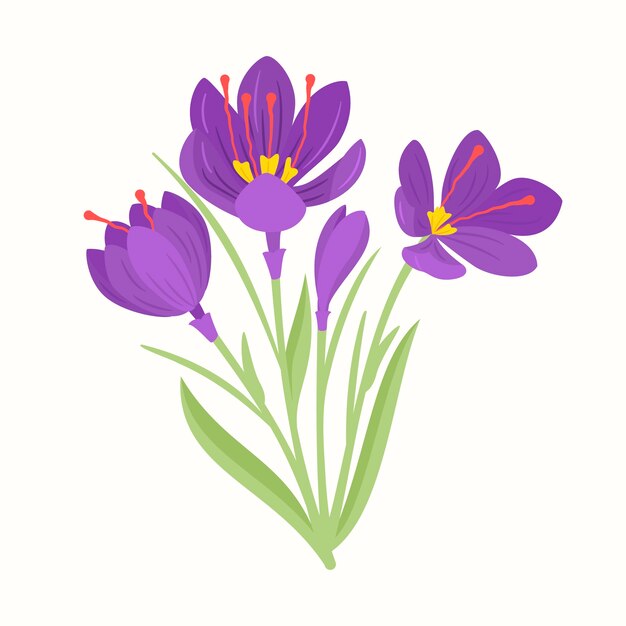 Hand drawn flat design saffron