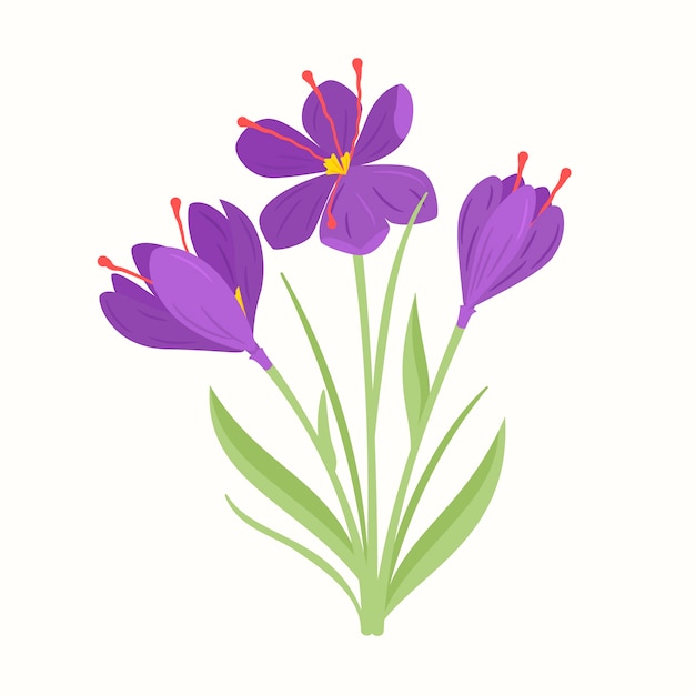 Hand drawn flat design saffron