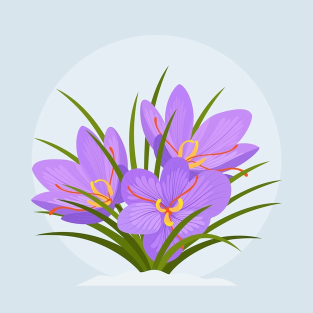 Hand drawn flat design saffron