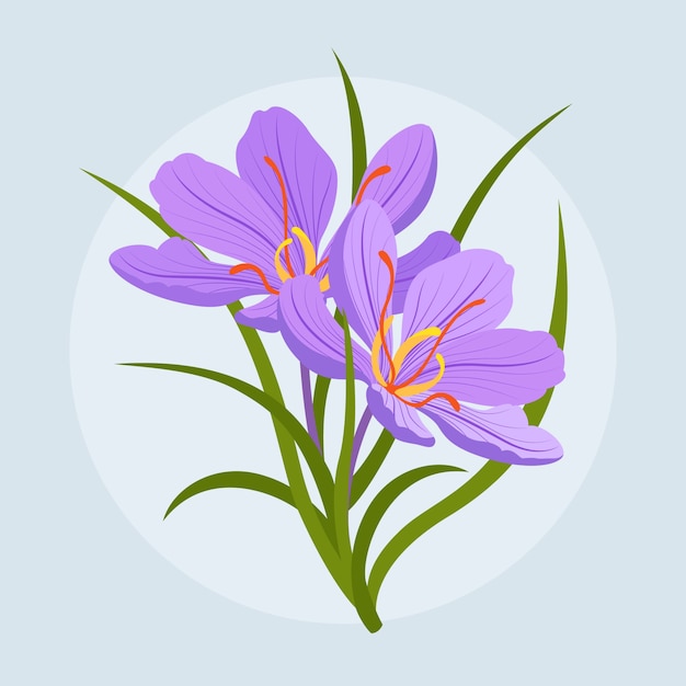 Hand drawn flat design saffron
