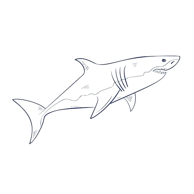 無料ベクター 手描きのフラットデザインのサメのアウトライン