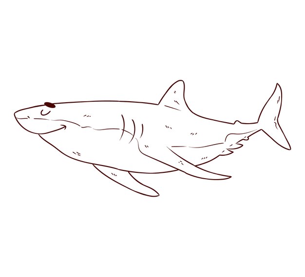 Hand drawn flat design shark outline