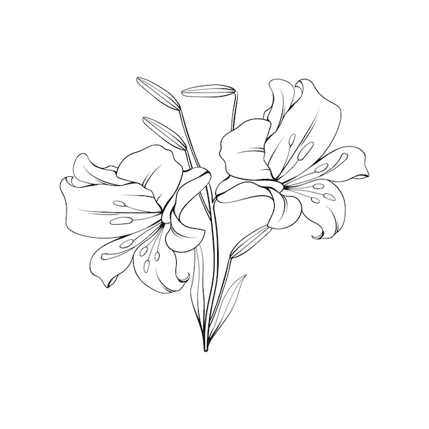 Hand drawn flat design simple flower outline