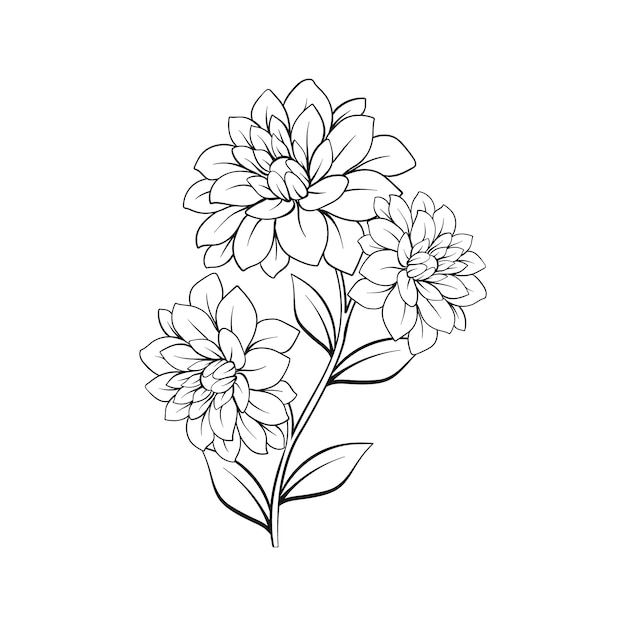 Hand drawn flat design simple flower outline