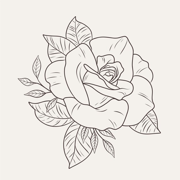 Hand drawn flat design simple flower outline