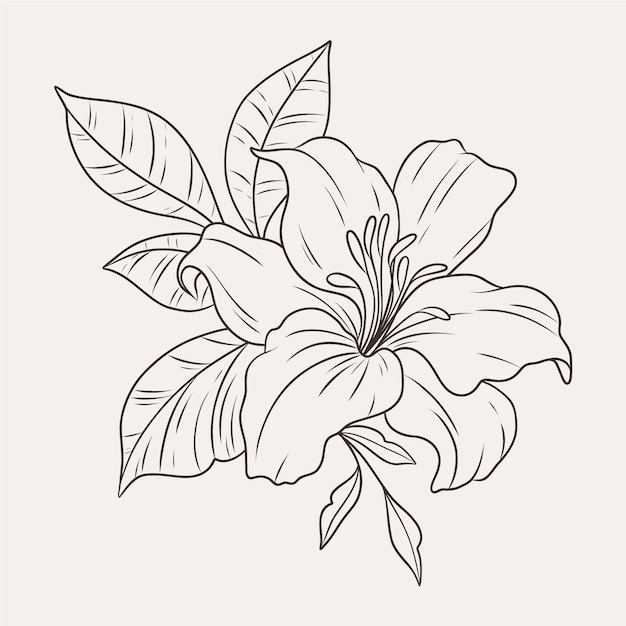 Hand drawn flat design simple flower outline