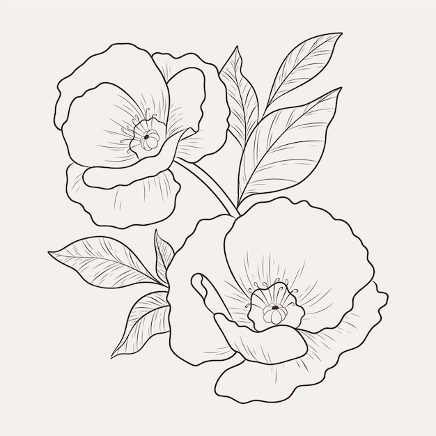 Hand drawn flat design simple flower outline