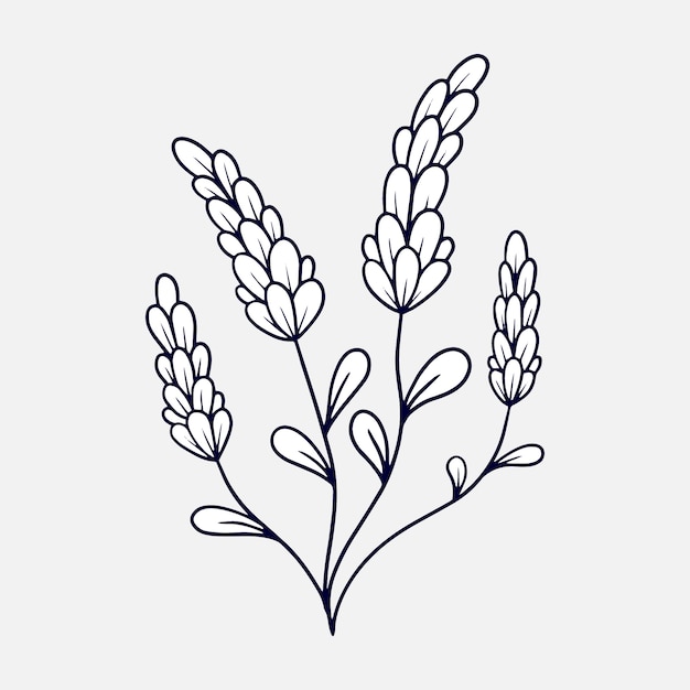 Hand drawn flat design simple flower outline