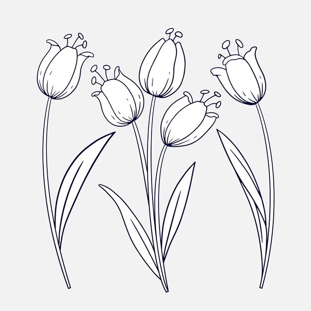 Hand drawn flat design simple flower outline