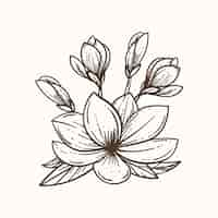 Free vector hand drawn flat design simple flower outline