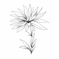 Бесплатное векторное изображение Ручной обращается плоский дизайн простой цветочный контур