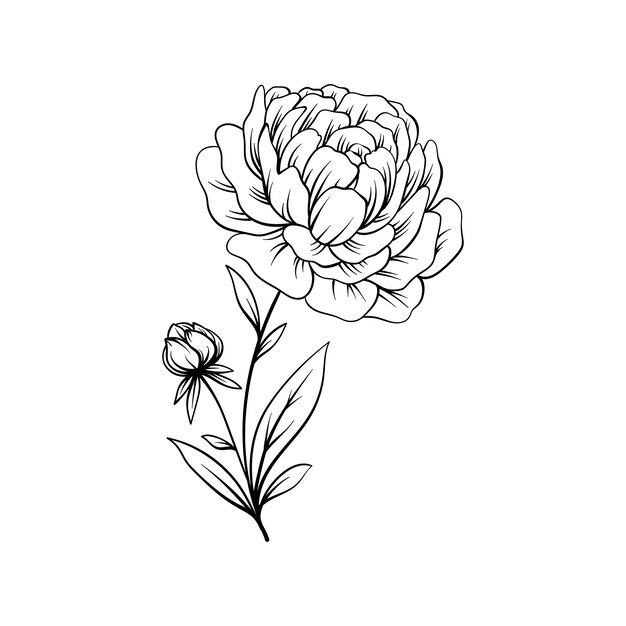 Hand drawn flat design simple flower outline