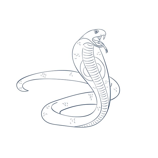 Hand drawn flat design snake outline