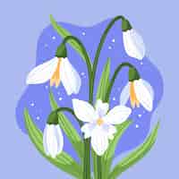 Бесплатное векторное изображение Нарисованная рукой иллюстрация цветка подснежника плоского дизайна
