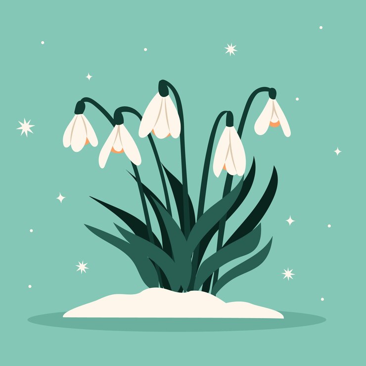 Free Vector hand drawn flat design snowdrop flower illustration