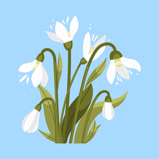 Hand drawn flat design snowdrop illustration