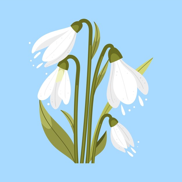 Hand drawn flat design snowdrop illustration