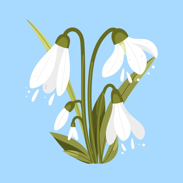 Hand drawn flat design snowdrop illustration