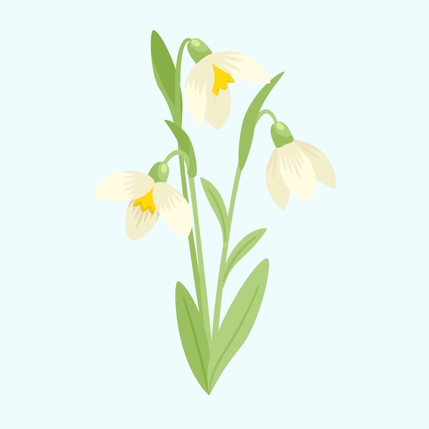 Hand drawn flat design snowdrop