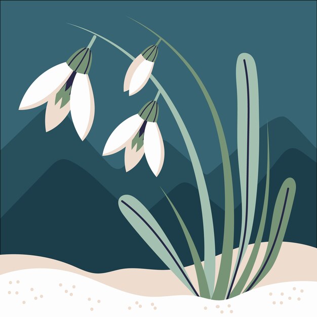 Hand drawn flat design snowdrop