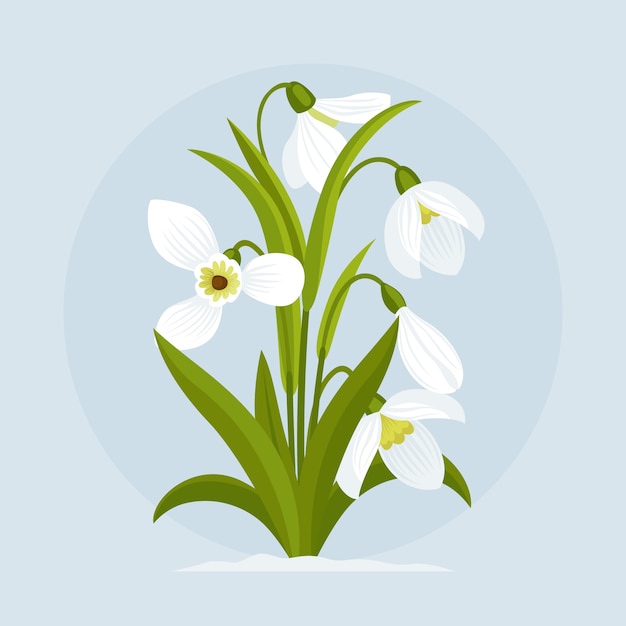 Hand drawn flat design snowdrop