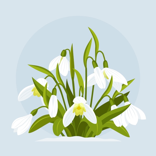 Free vector hand drawn flat design snowdrop