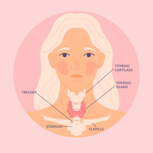 손으로 그린 평면 디자인 갑상선 그림