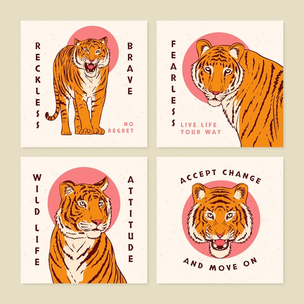 Free vector hand drawn flat design tiger with lettering instagram post