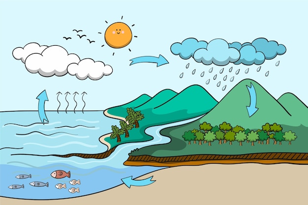Hand drawn of flat design water cycle