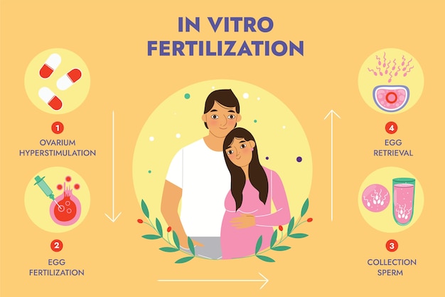 손으로 그린된 평면 ivf infographic