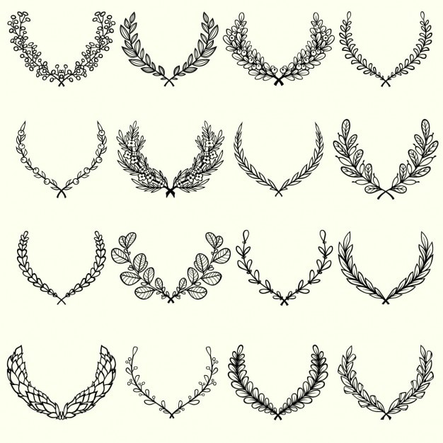 Бесплатное векторное изображение Коллекция рисованной трав ветви кадров