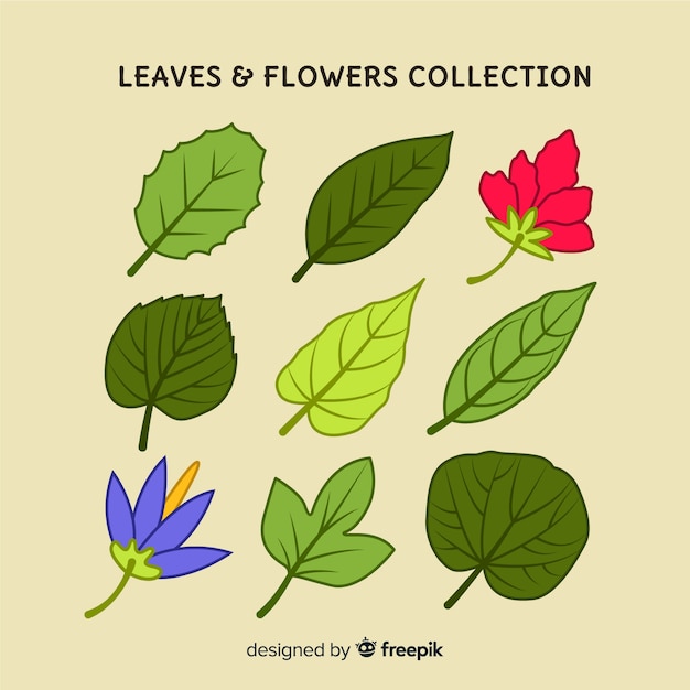 Free vector hand drawn floral collection