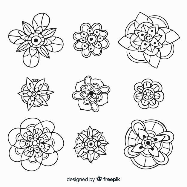Hand drawn floral decoration element collection
