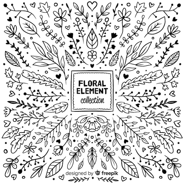 Hand drawn floral decoration elements