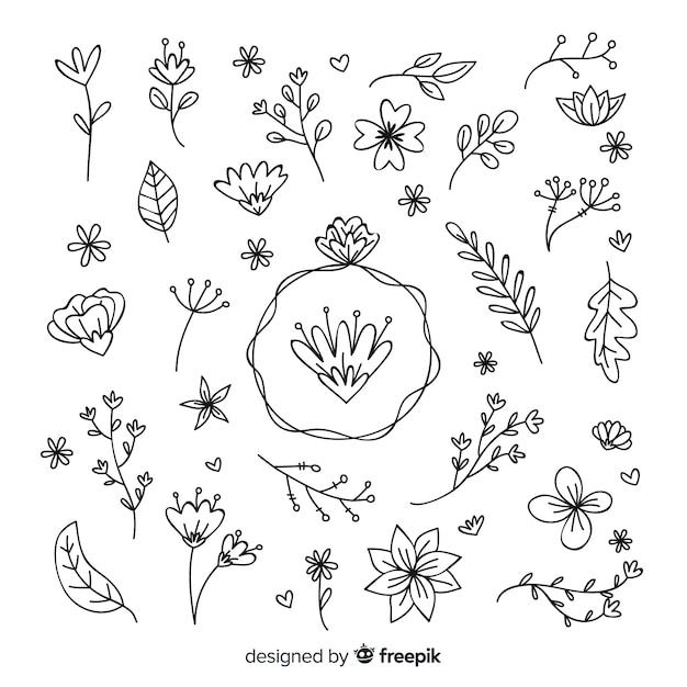 Hand drawn floral decoration elements