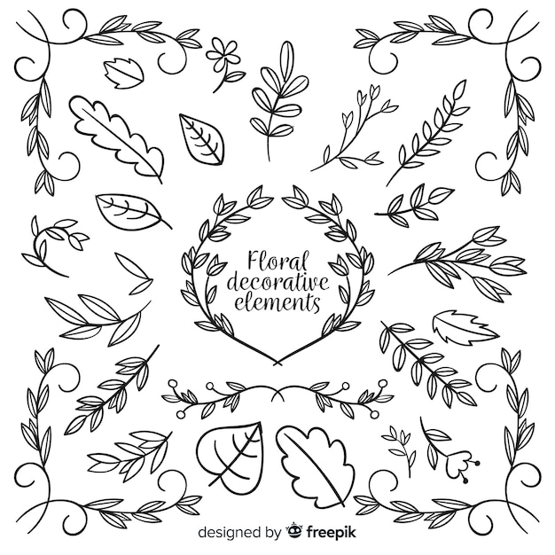 Hand drawn floral decorative element collection