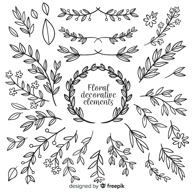 Hand drawn floral decorative element collection