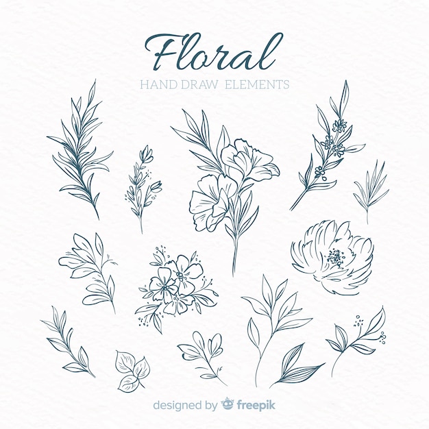 Hand Drawn Floral Decorative Elements