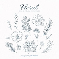 Hand drawn floral decorative elements