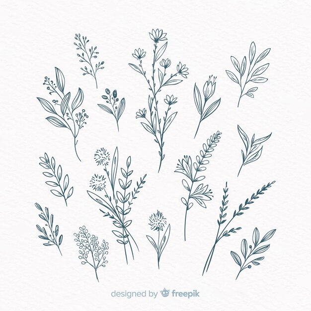 植物 画像 無料のベクター ストックフォト Psd
