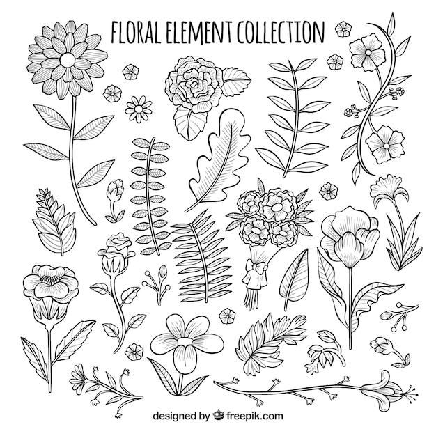 Vettore gratuito collezione di elementi floreali disegnati a mano