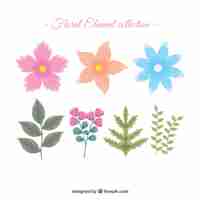 Free vector hand drawn floral element collection