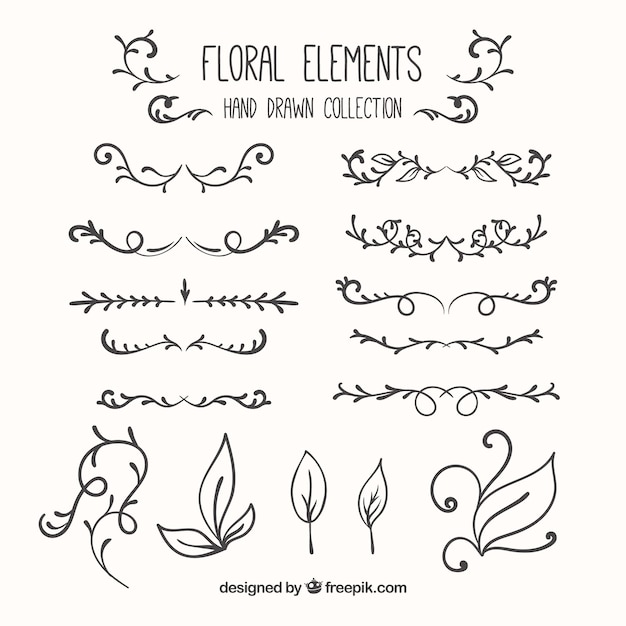 Hand drawn floral elements collection